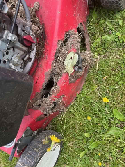 Photo of free Petrol mower - for spares or repair (Brighouse HD6) #2