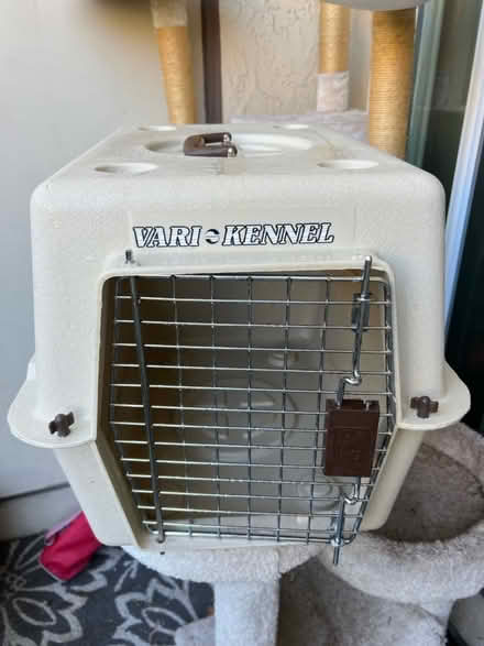 Photo of free Cat carrier (Cambrian Park) #1