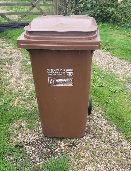 Photo of free Garden waste bin (Sacombe SG12) #1