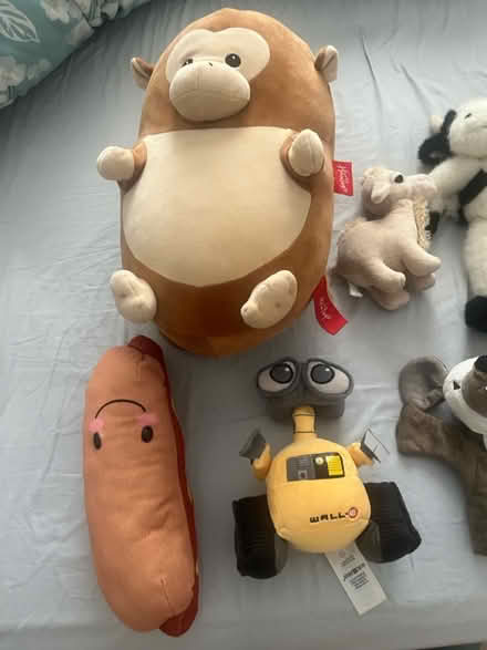Photo of free Stuff Toys (Kidbrooke, SE3) #4
