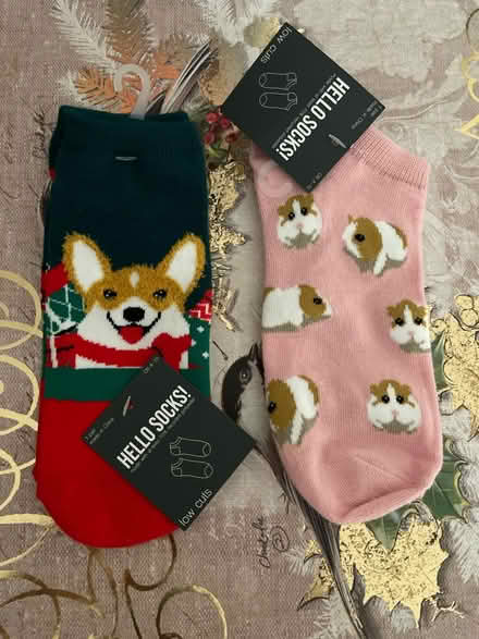 Photo of free New Small Socks (Farmington Hills) #1