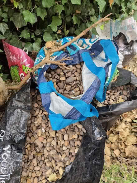 Photo of free Pebbles (Ealing W13) #1