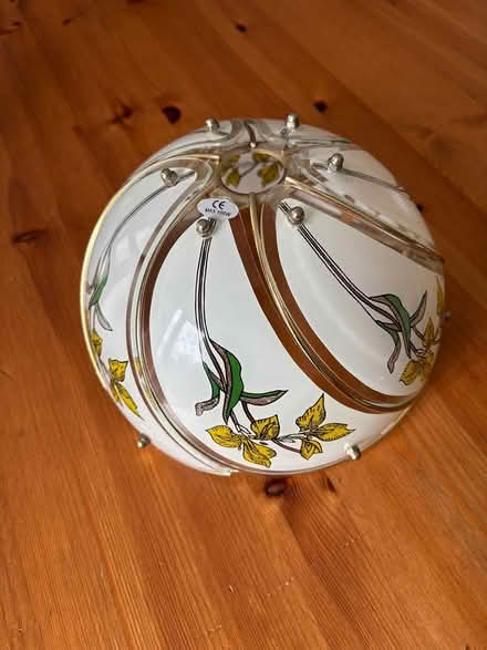 Photo of free Flower lampshade (Ballsbridge) #3