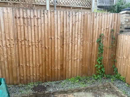 Photo of free 2 sets of Fencing (Stepney Green E1) #1