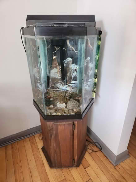 Photo of free Fish Tank (Teaneck, N.J.) #1