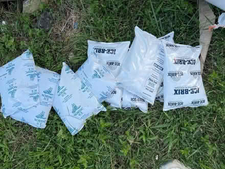 Photo of free Freezer packs (Oradell) #1