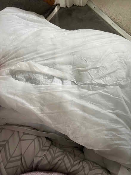 Photo of free Duvet (Northenden M22) #2