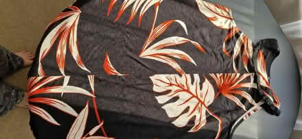 Photo of free Women's dresses (Wandsworth Common SW12) #1