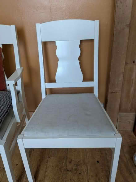 Photo of free Two big IKEA dining chairs (Hove Green BN3) #2