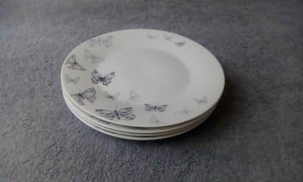 Photo of free dinner plates x4 (Waterlooville) #1