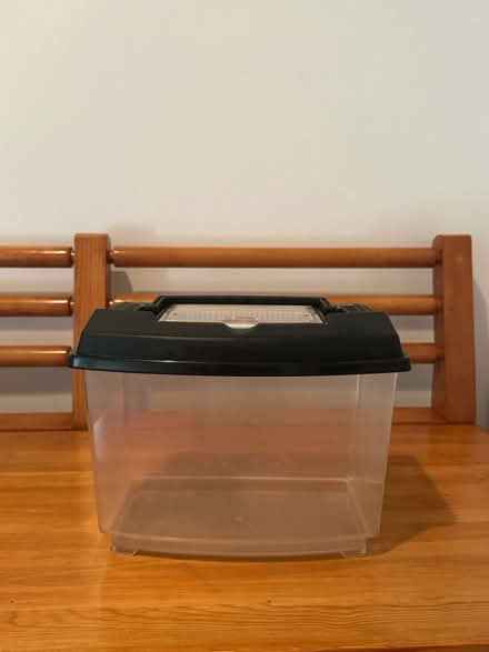 Photo of free Mini Terrarium (Princeton close to Rt 1) #1