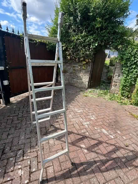 Photo of free Metal step ladder (Sheffield S20) #1