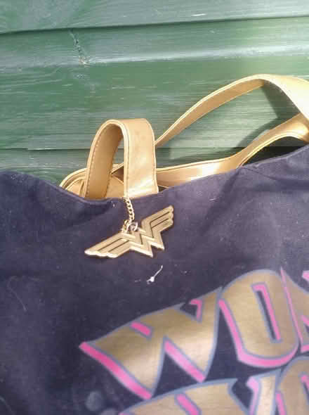 Photo of free Wonder Women bag (Cippenham SL1) #1