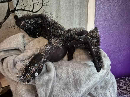 Photo of free Knitted dragon (Hollinswood TF3) #1