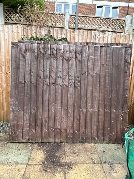 Photo of free Fencing (Stepney Green E1) #1