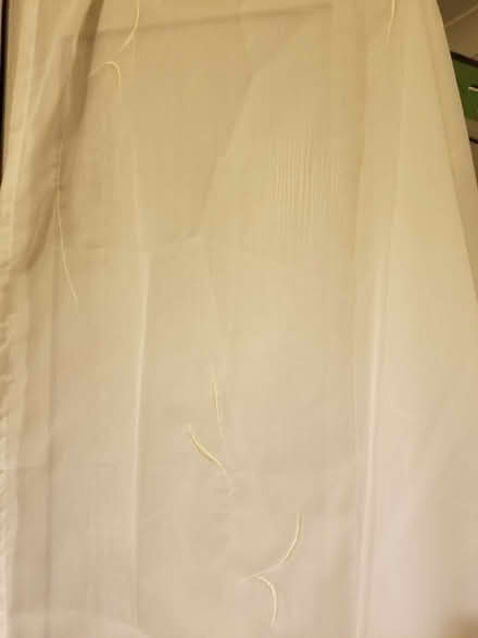 Photo of free Net curtain (St Albans AL3) #1