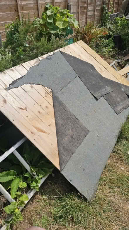 Photo of free Shed panels great condition (Stevenage SG2) #4