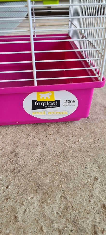 Photo of free Hamster/mouse cage (Binfield Heath RG9) #1