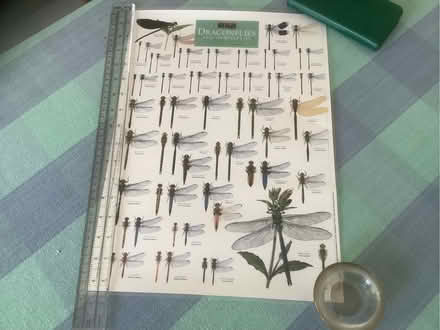 Photo of free Wildlife posters (Swanley BR8) #2