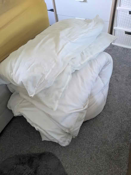 Photo of free Double duvet and two pillows (Wolverhampton WV10) #1