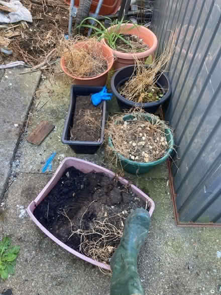 Photo of free Assorted large plastic plant pots (Filton BS34) #1