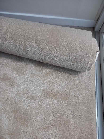 Photo of free Carpet offcut (Woodseats S8) #1