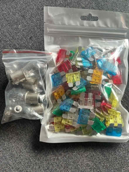 Photo of free Automotive fuses and bulbs (Calcot RG31) #1