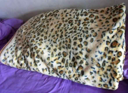 Photo of free Bedspread/Throw (Langley SL3) #1