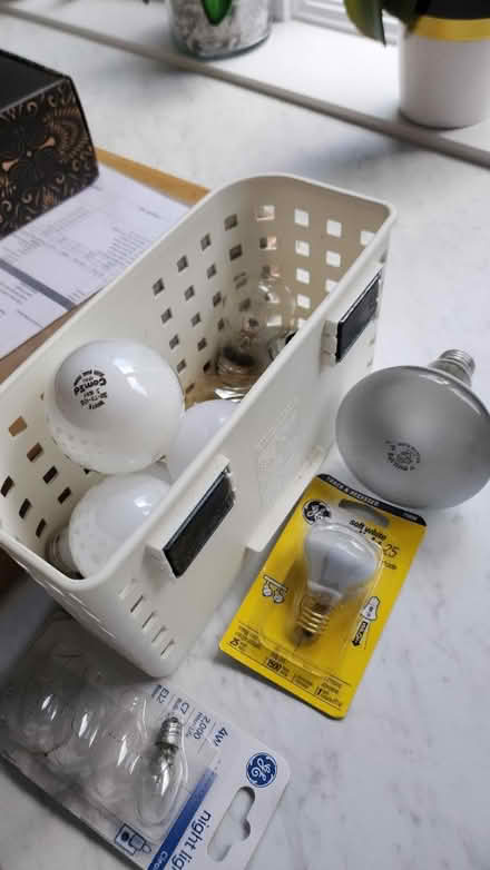 Photo of free Bulbs (Somerset) #1