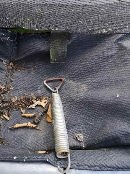 Photo of free Plum 12ft trampoline (Cheadle Hulme SK8) #3