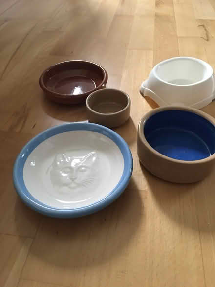 Photo of free Bowls for cats/small animals (Pittville GL50) #1