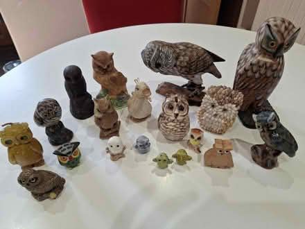 Photo of free Owl collection (Cam GL11) #1