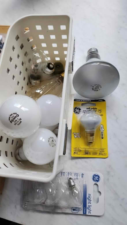 Photo of free Bulbs (Somerset) #3