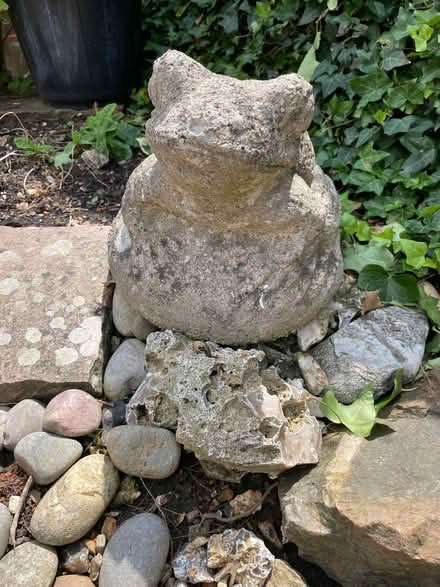 Photo of free Frog garden ornament (Hazlemere HP15) #1