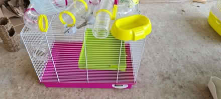 Photo of free Hamster/mouse cage (Binfield Heath RG9) #2