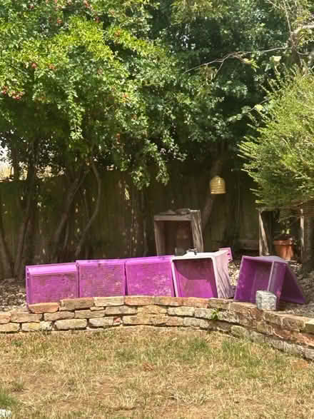 Photo of free Wormery (SY4) #2