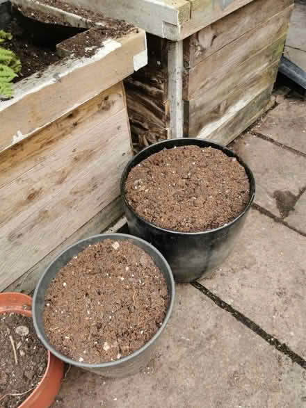 Photo of free Top soil (South Bermondsey SE15) #1