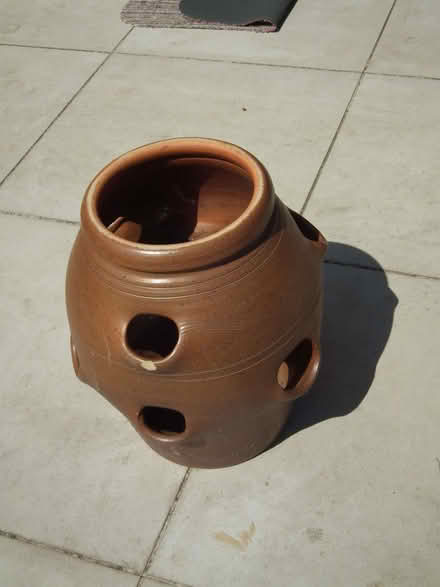 Photo of free Strawberry/flower pot (Lower Earley RG6) #1
