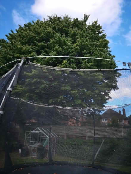 Photo of free Plum 12ft trampoline (Cheadle Hulme SK8) #2