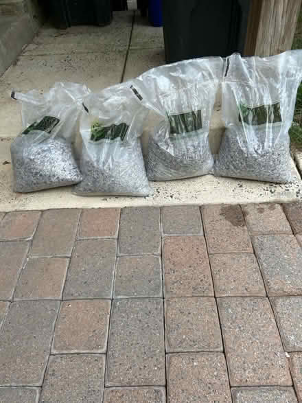Photo of free Garden stones (Elkins Park) #3