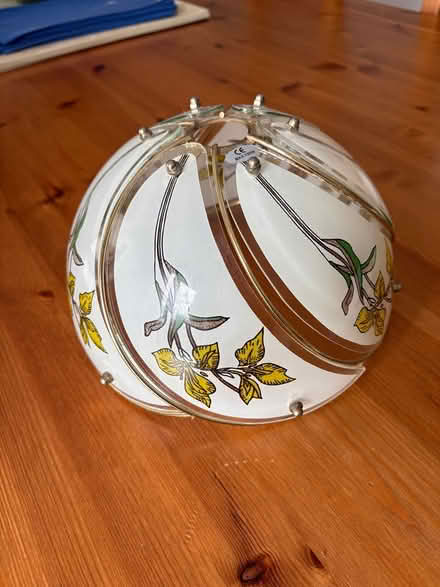 Photo of free Flower lampshade (Ballsbridge) #2