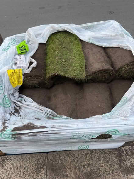 Photo of free Fresh turf (E17) #1