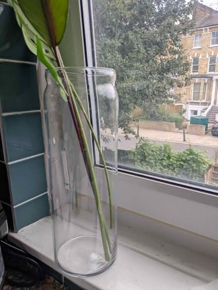 Photo of free Glass vase (35cm/13" tall) (Stoke Newington N16) #1