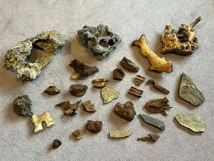 Photo of free Aquarium rocks and wood (Barnard's Green WR14) #1