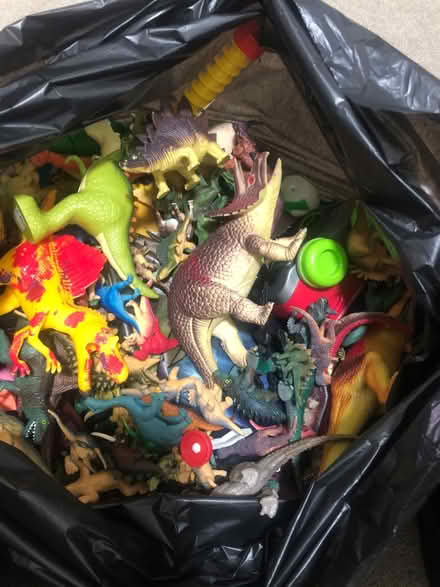 Photo of free Dinosaurs (Ampthill) #1