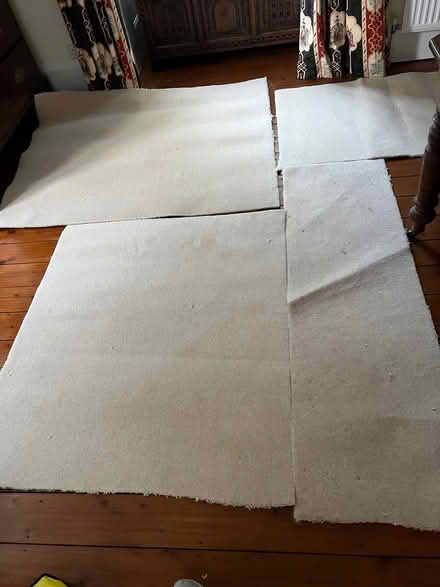 Photo of free Carpet off cuts (Sheffield Park TN22) #1