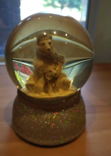 Photo of free Polar Bear Snow Globe/Music Box (Greenbank and Hunt Club) #1