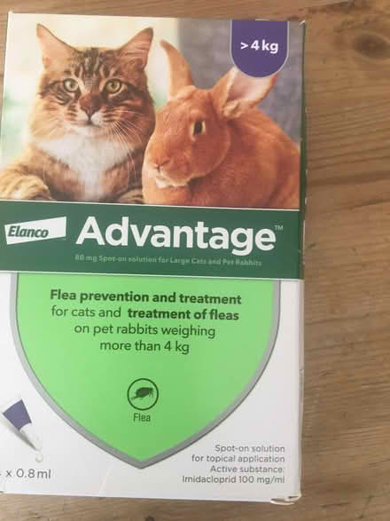 Photo of free Flea treatment (Fairwater CF5) #1