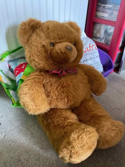 Photo of free Big teddy bear (Blacklands TN34) #1
