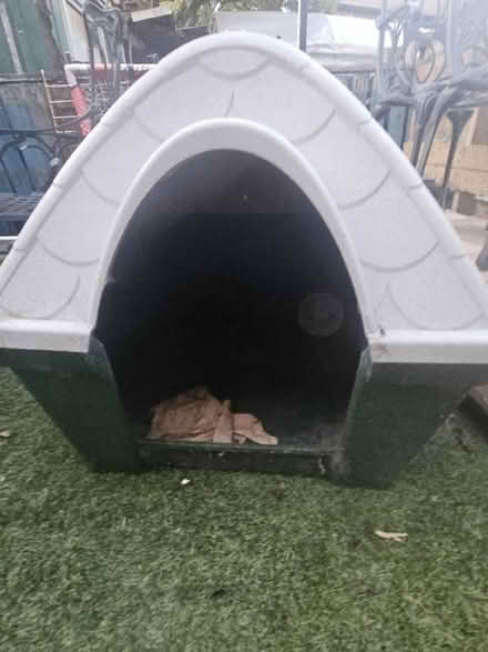 Photo of free Dog kennel (Shiremoor NE27) #1